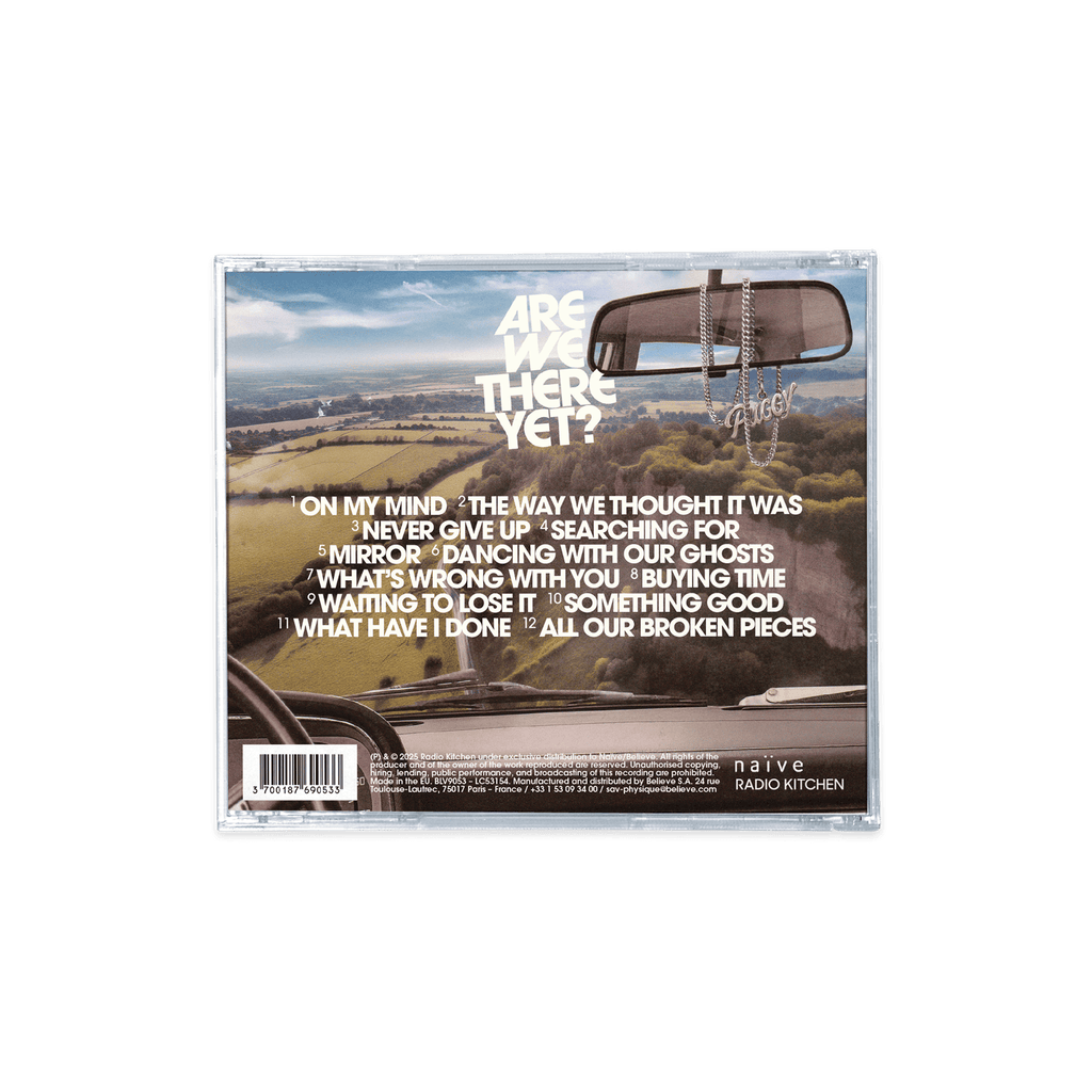 ARE WE THERE YET (CD or VINYL)