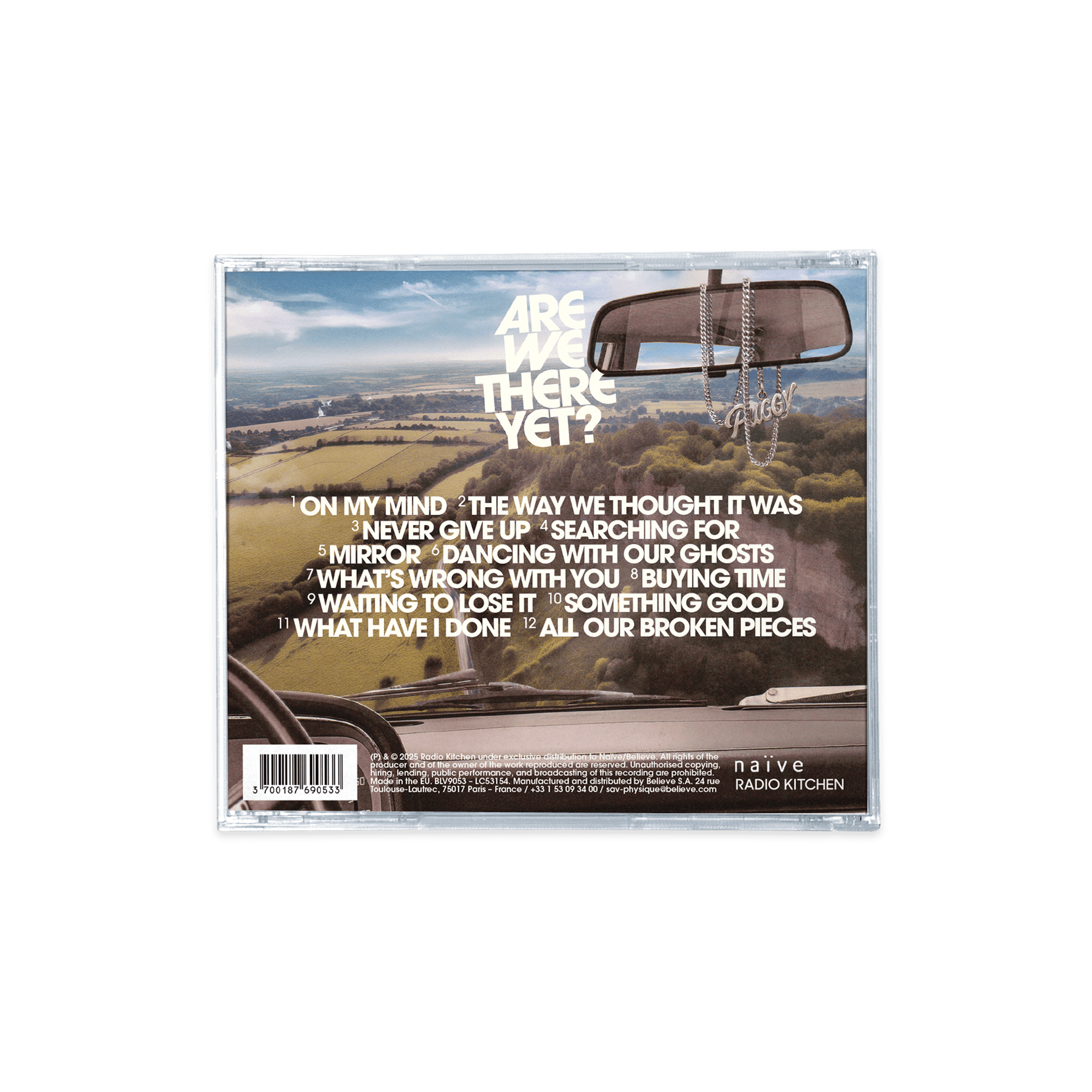 ARE WE THERE YET (CD or VINYL)